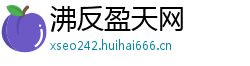 沸反盈天网